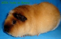 /album/miminka-a-jejich-rodicove5/misa-9-mesicu-jpg/